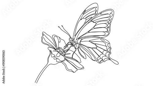 Continuous One Line Drawing of Butterfly on Flower | Minimalist Line Art Illustration