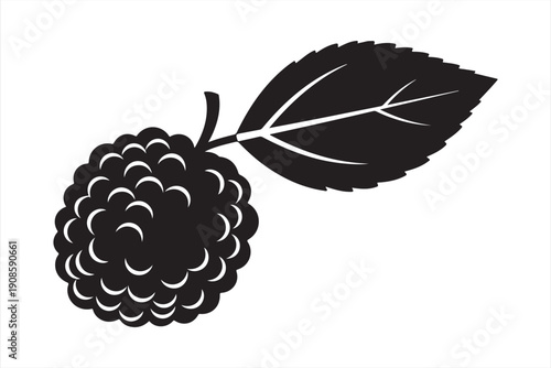 A stylized black and white illustration of a single ripe blackberry with a leaf