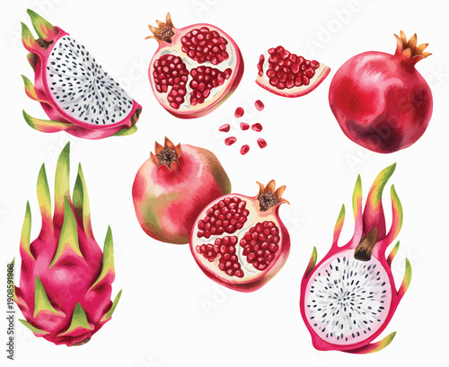 Exotic fruit watercolor set with ripe dragon fruit, sliced pomegranate, and scattered seeds on white background.