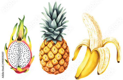 Hand painted tropical fruit collection featuring dragon fruit, pineapple, and peeled banana in watercolor.