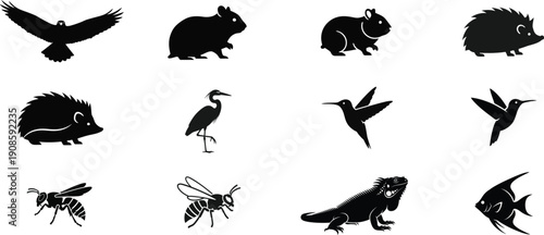 Collection of animal silhouettes featuring various species