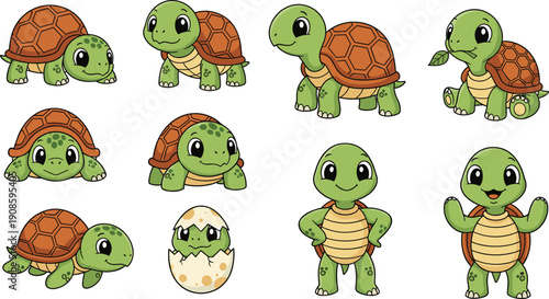 Large set of cute cartoon turtle characters in various poses including walking, standing, eating a leaf, and hatching from an egg, isolated on a white background.