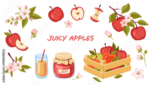 Vector set of illustrations of juicy apples with slices, blossom, branch, jam jar, glass of juice and wooden basket with fruits. Farm ecological products and healthy food