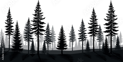 Pine forest silhouette landscape vector illustration, evergreen trees woodland scene, black and white nature design isolated on white background minimal style