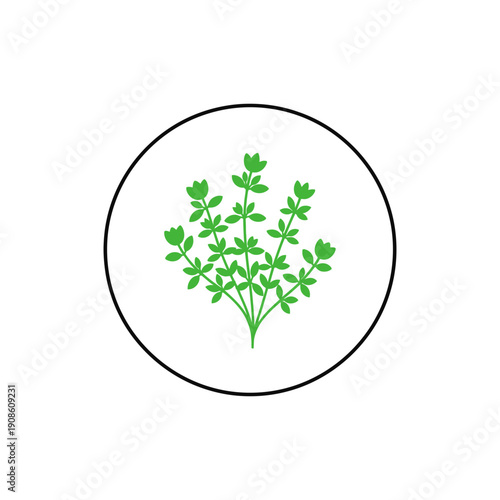 Minimal Flat Thyme Herb Icon in Circular Frame on White Background