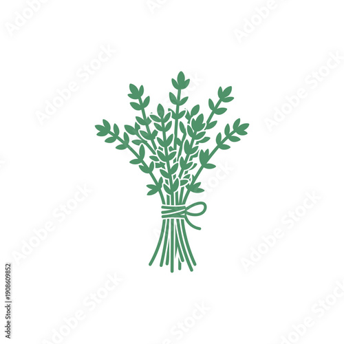Flat Vector Illustration of Thyme Bunch Tied with String on White Background