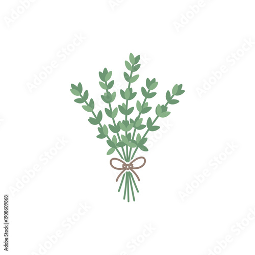 Stylized Flat Illustration of Thyme or Rosemary Bunch Tied with String