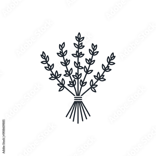 Minimal Line Art of Thyme Bunch with Stems Fanning Out on White Background