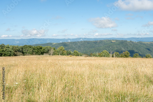 an open grass meadow at the top of an Appalachian mountain top with nothing but blue ridges in the distance