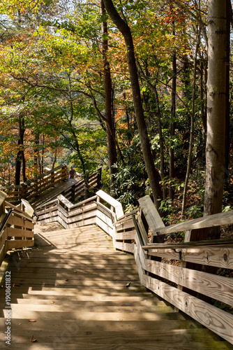 long wooden staircase with handrail along multiple vertical flights up a steel wooden hillside looks like a physically daunting climb