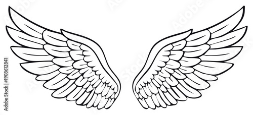 Black and white illustration of detailed angel wings, representing freedom and flight.