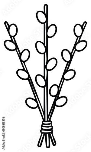 Illustration of a Spring Bouquet of Pussy Willow Branches