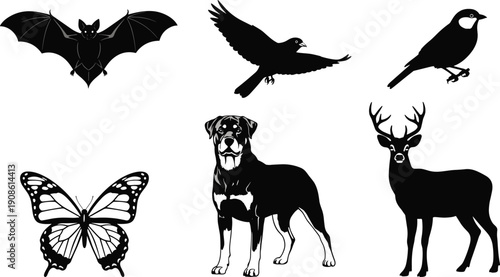 Large collection of black animal silhouettes including bat, butterfly, deer, rottweiler dog, and birds, wild and domestic creature vector illustration set. (22 words)