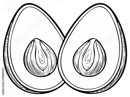 Outlined Avocado Halves Illustration, Two Sliced Open Avocados, Food Ingredient Line Art Drawing
