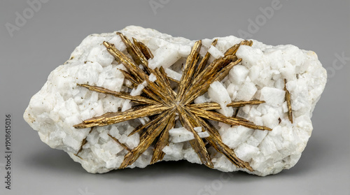 Radiating star shaped aggregate of golden brown astrophyllite crystals in white nepheline syenite.