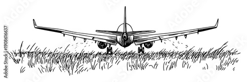 airplane front view in tall grass