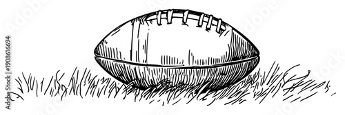 american football ball lying on grass