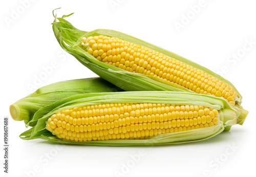 Three ear of corn isolated on white background