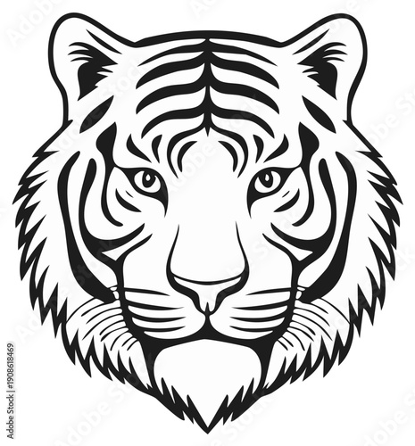 Stylized Tiger Face Graphic Line Art Illustration Close Up Front View