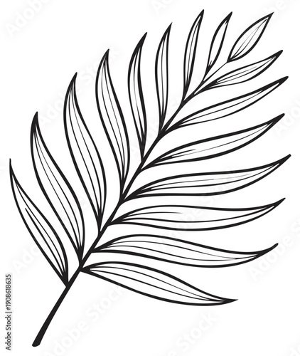 Simple Black and White Outline Drawing of a Palm Frond Branch