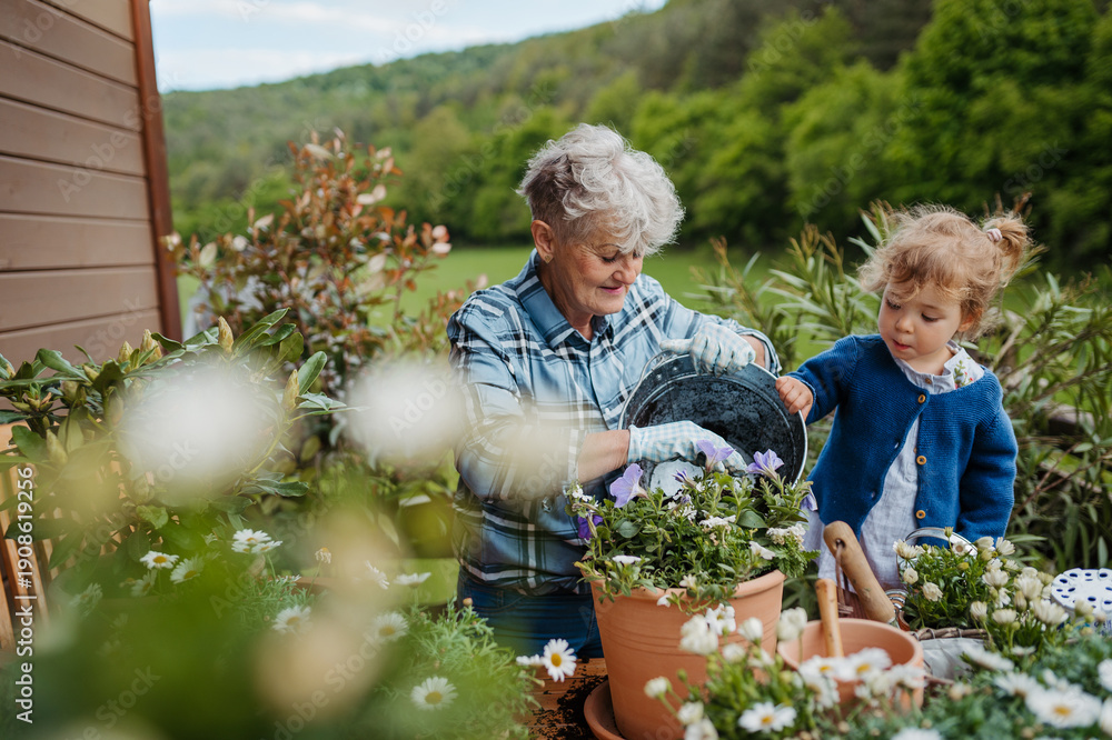 Fototapeta premium Senior grandmother with small granddaughter gardening during spring season.