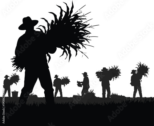 Silhouette of Farmers and Workers Harvesting Crops in a Field with Traditional Hand Tools