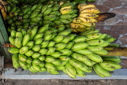 Fresh organic bananas fruit for sale at a market in Manaus, Amazonas, Brazil. Family farming agriculture. Concept of healthy food, sustainability.