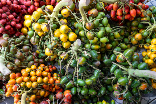 Fresh organic peach palm fruit for sale at a market in Manaus, Amazonas, Brazil. Family farming agriculture. Bactris gasipaes. Concept of healthy food, sustainability.