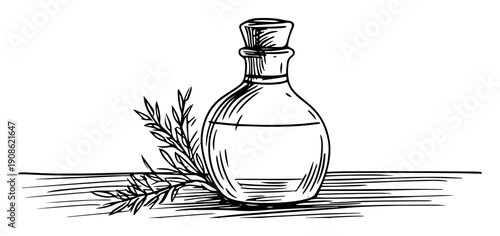 hand drawn bottle with herbs sketch illustration