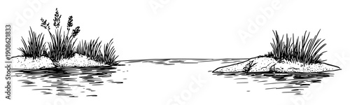 hand drawn pond with reeds sketch illustration