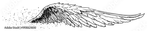 hand drawn angel wing sketch illustration
