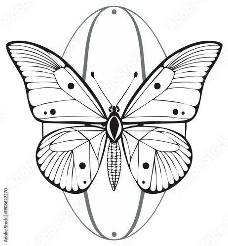 Intricate Butterfly Illustration With Geometric Wing Patterns And Oval Frame