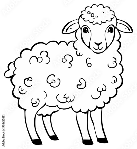 Cartoon sheep illustration. Smiling animal stands facing forward. Black and white outline.