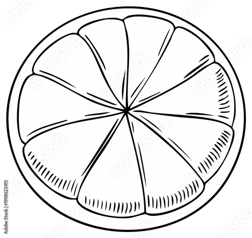 Black and white illustration of a sliced orange showing segments