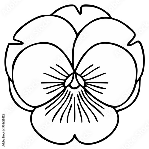 Illustration of a single pansy flower in black and white line art