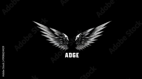 Majestic stylized feathered wings graphic with intricate details on a dark black background, symbolizing freedom and power.
