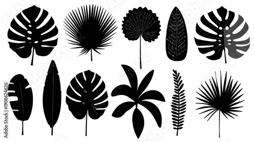 Tropical leaves silhouettes set. Exotic jungle foliage graphic collection for botanical, nature, and summer design projects.