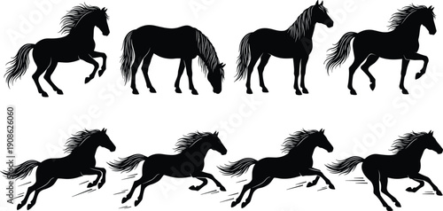 Black horse silhouettes in multiple running and standing poses, elegant equine motion set, isolated vector animal illustration collection on white background