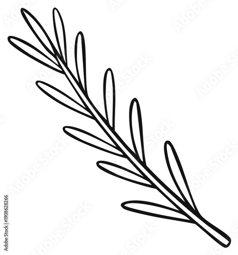 Simple black and white line art drawing of a fresh rosemary sprig, a fragrant culinary herb for cooking