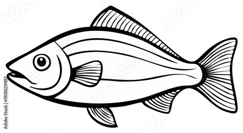 Line Art Illustration of a Single Fish with Fins and Tail