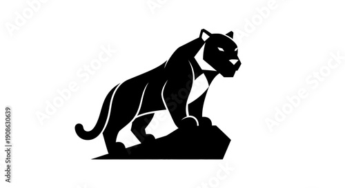 Black panther silhouette on rock