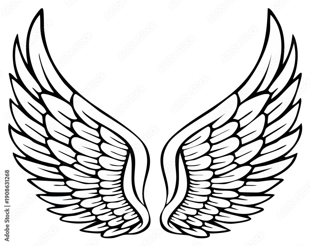 Fototapeta premium Outlined angel wings illustration, design element, graphic symbol, vector art