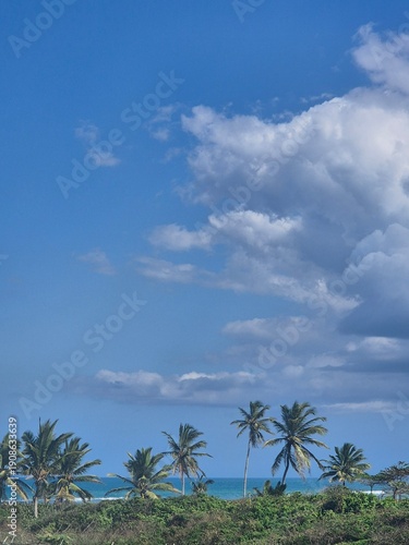 Tropical beach landscape with palm trees and blue sky