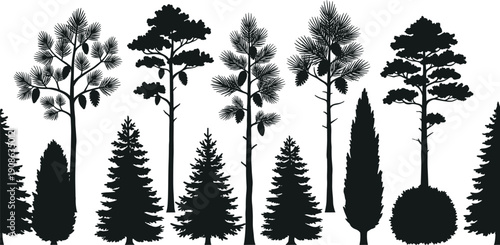 Evergreen tree silhouette vector collection featuring pine, fir and conifer species, black forest icons isolated on white for landscape design, backgrounds and branding