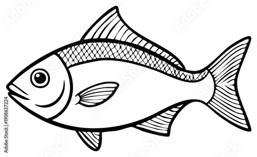 Fish outline illustration aquatic life design, black and white sea animal isolated line art drawing, wildlife, underwater world