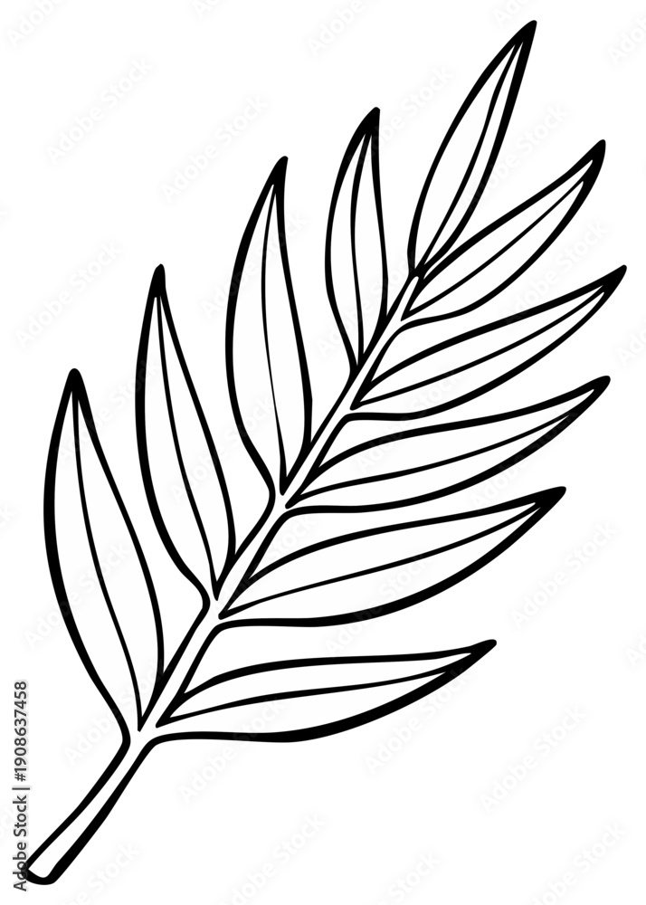 Fototapeta premium Outline of a botanical palm leaf branch