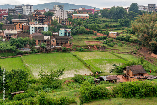 Madagascar, the city of Ambositra, green rice fields between houses. 