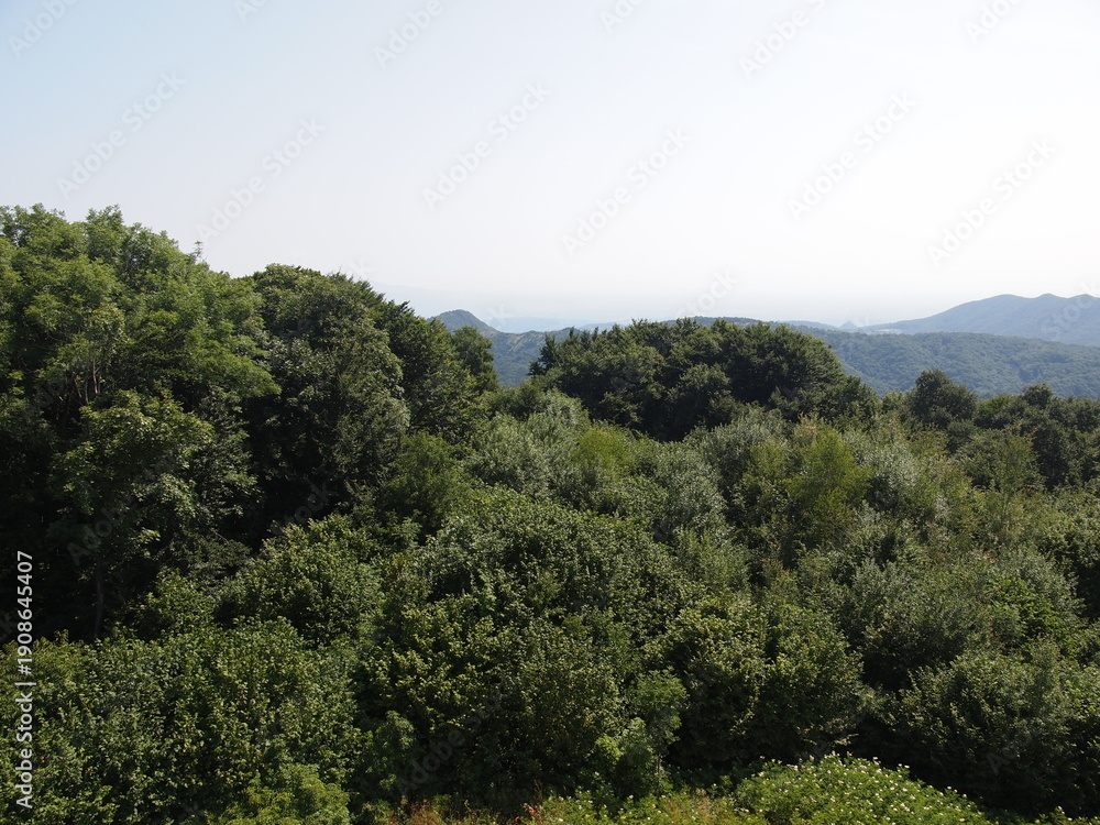 Obraz premium View from Japetić peak - 879 m (Žumberak – Samoborsko gorje Nature Park, Samobor, Croatia)