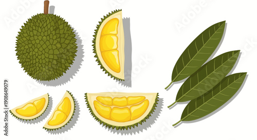 Durian fruit cut open to reveal its creamy yellow flesh surrounded by green spiky skin and leaves in a digital illustration from a straightforward viewpoint