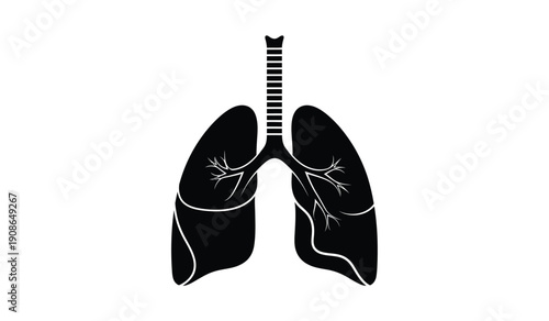 A detailed illustration of human lungs with trachea and bronchi